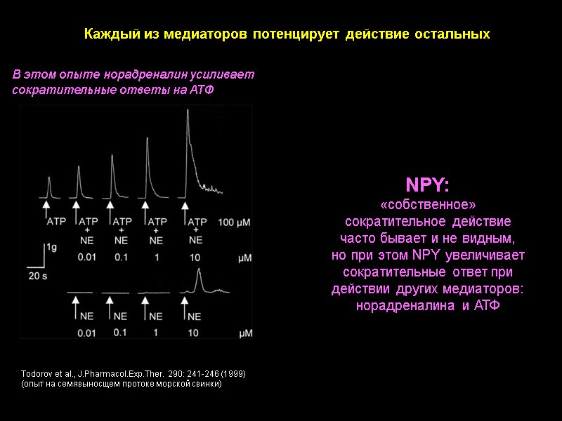 Каждый из медиаторов потенцирует действие остальных В этом опыте норадреналин усиливает сократительные Каждый из медиаторов потенцирует действие остальных В этом опыте норадреналин усиливает сократительные